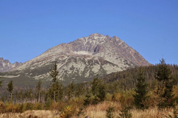 Brzdili prirodzené sukcesné procesy