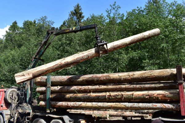 Ilustračn&eacute; foto: Jozef Marko 