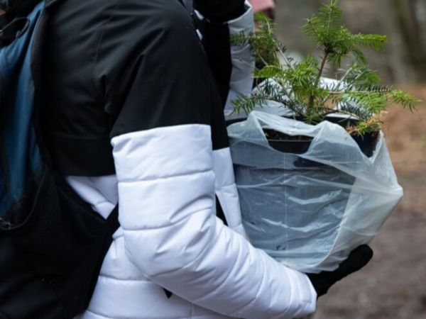 Zdroj: Internetová stránka MENDELU 