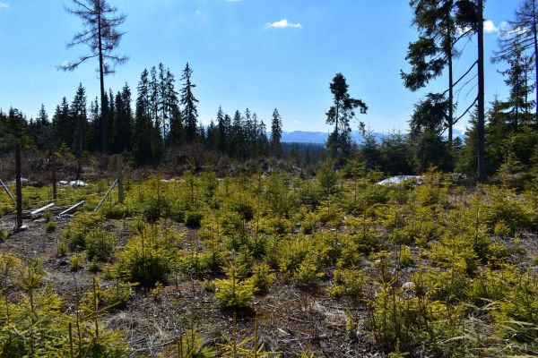 Ilustračné foto: Jozef Marko 