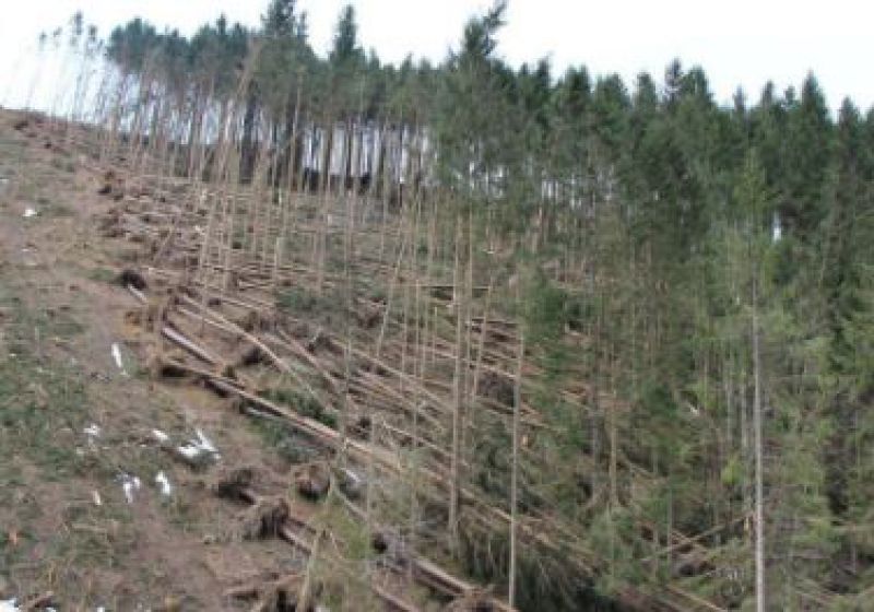 V Národnom parku Malá Fatra spracúvajú kalamitu