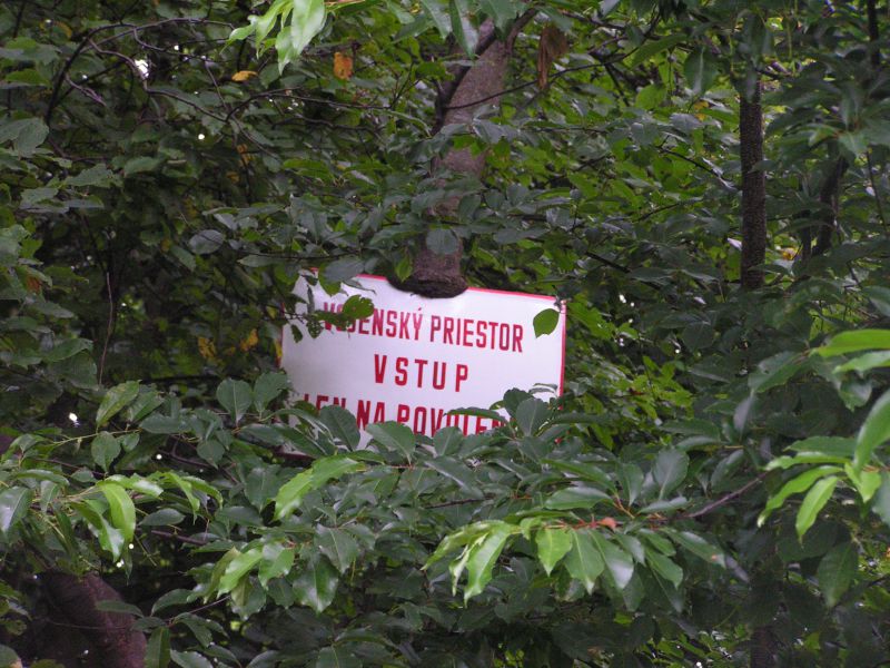 Vojenské lesy opakujú postrek