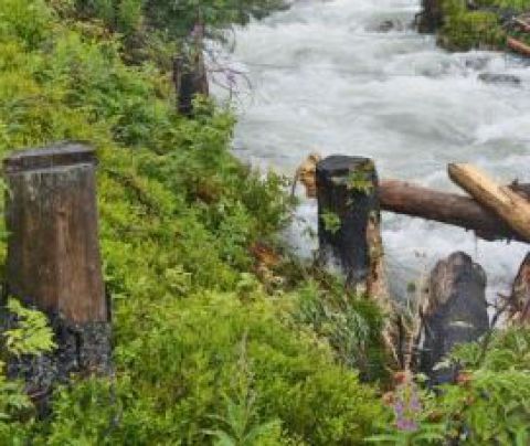 Najväčšie škody sú v Tatranskej Javorine