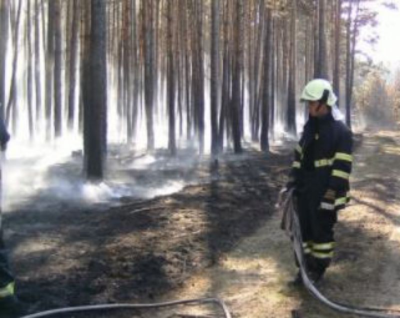 Požiar na Záhorí zničil 77 hektárov lesa