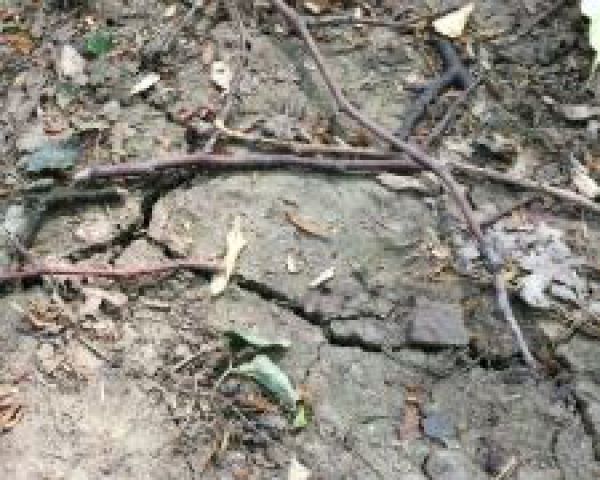 Zmenu kl&iacute;my nezastav&iacute;me