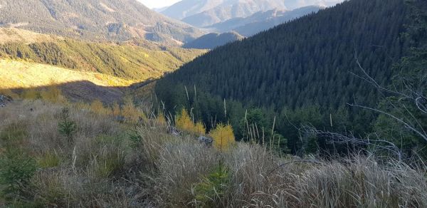 Foto Ing. R&oacute;berta Gomb&aacute;rika k statusu na soci&aacute;lnej sieti 