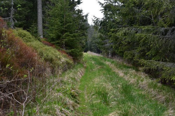 Ilustračn&eacute; foto Jozef Marko