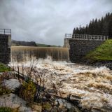 Protipovodňový polder, vybudovaný vojenskými lesníkmi 