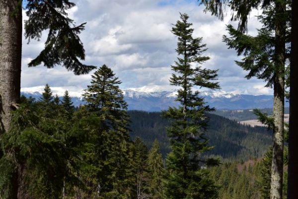 Ilustračn&eacute; foto Jozef Marko