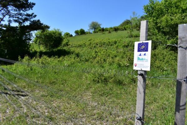 Ilustračn&eacute; foto: Jozef Marko 