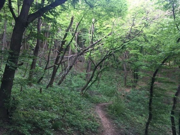 Na Dev&iacute;nskej Kobyle bud&uacute; bezz&aacute;sahov&eacute; z&oacute;ny