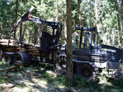 Ilustračné foto: Jozef Marko 