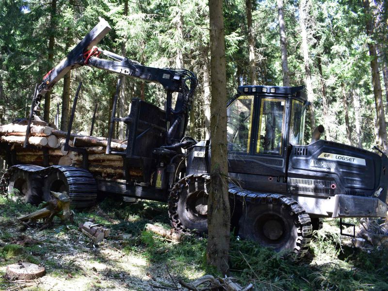 Ilustračné foto: Jozef Marko 