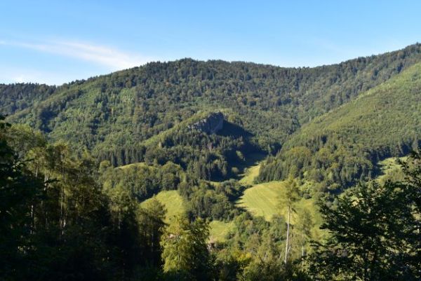 Kraj pod mas&iacute;vom Poľany s množstvom medveďov 