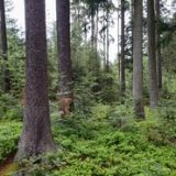 Jeden z demon&scaron;tračn&yacute;ch objektov v Brdech