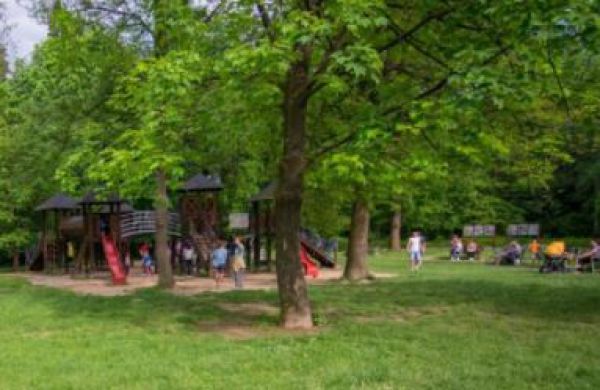 V&yacute;rub v lesoparku s&uacute;vis&iacute; s bezpečnosťou