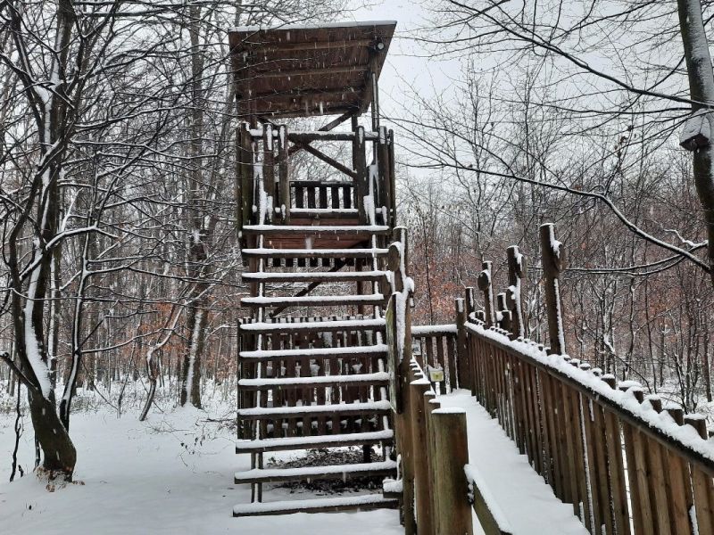 Posed v lesnom parku v Klimkoviciach 
