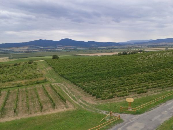 Ilustračn&eacute; foto: Jozef Marko 