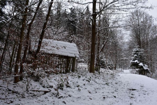 Ilustračn&eacute; foto: Jozef Marko 