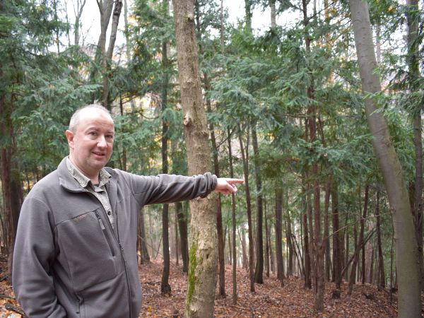 Jozef Jankov ukazuje na výskyt tisov v Pavelcove