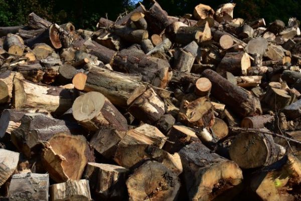 Ilustračn&eacute; foto Jozef Marko