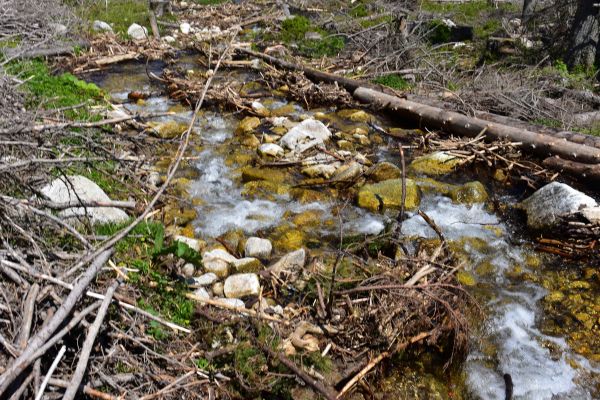 Ilustračn&eacute; foto: Jozef Marko 