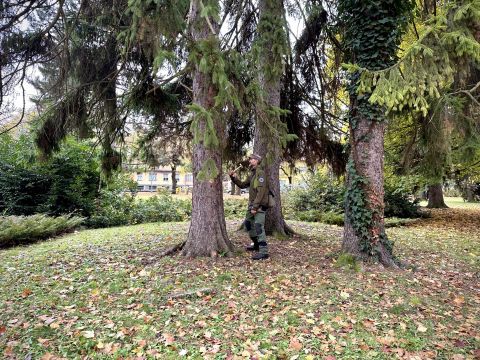 Mestský park v Banskej Bystrici počas dendrologického výskumu 