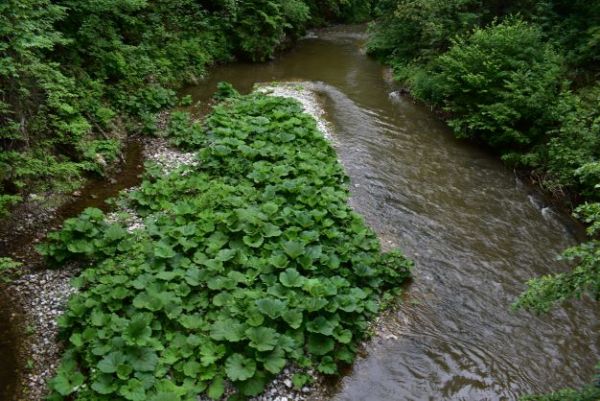 Ilustračn&eacute; foto Jozef Marko