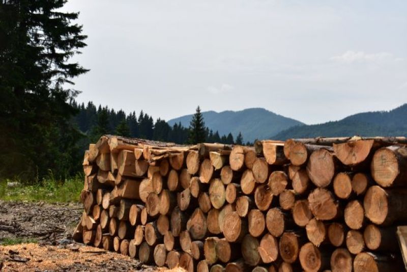 Ilustračné foto Jozef Marko