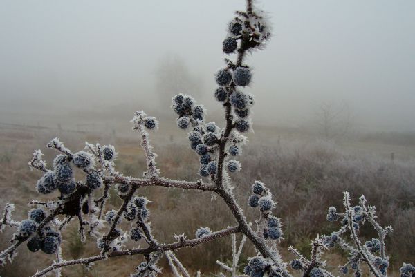 Ilustračn&eacute; foto Jozef Marko