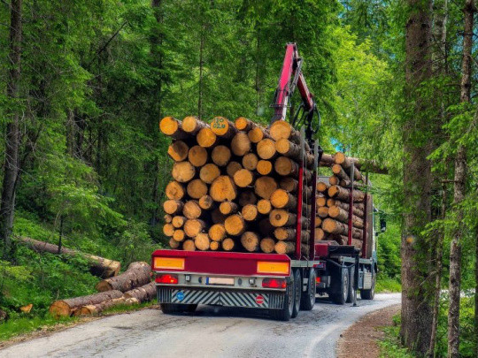 MHSL, m. r. o., Trenčín - Oznámenie o zámere „Predaja drevnej hmoty na odvoznom mieste"