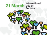 Medzinárodný deň lesov 2026: Téma Lesy a ekonomiky zdôrazňuje, že hospodárstvo nie je od prírody oddelené – naopak, je od nej priamo závislé