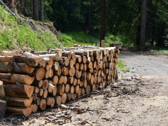 Blíži sa vykurovacia sezóna, nervozita na trhu s drevom stúpa: LESY SR pýtajú za najpredávanejšiu tvrdú listnatú hmotu o 30 percent viac ako vlani