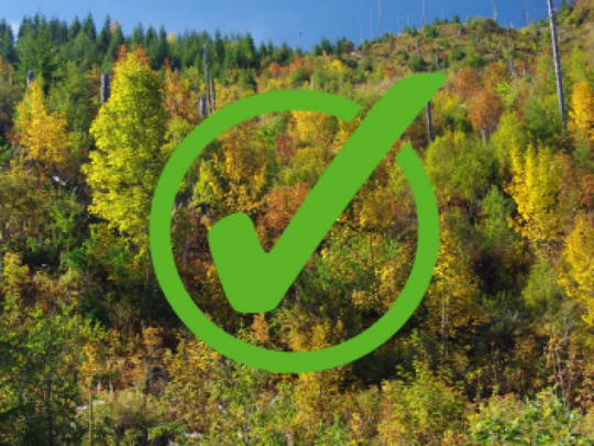 Slovenskí lesomajitelia podporujú stanovisko 19 európskych sektorových organizácií: Nariadenie o odlesňovaní znamená právnu neistotu a nereálne termíny