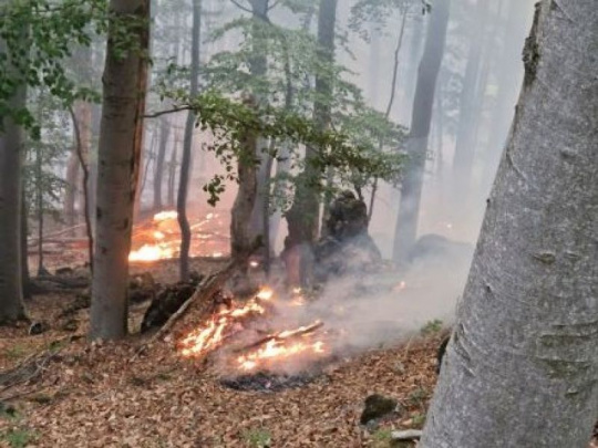 V júli o 40 percent viac požiarov ako pred rokom: V prírodnom prostredí horelo vyše 700-krát