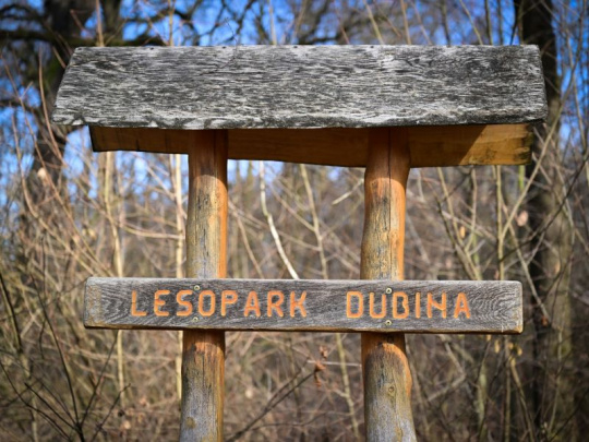 Z lesoparku bude v Karvinej mestský park: Padne 63 stromov v zlom zdravotnom stave, zrevitalizujú koryto potoka a vybudujú retenčné opatrenia