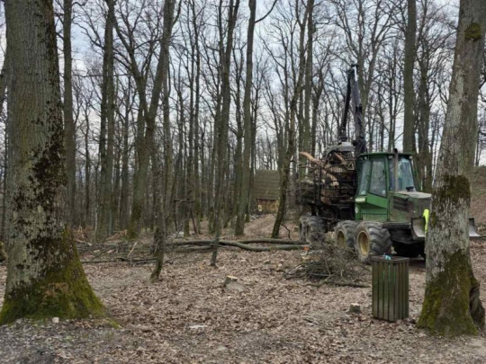 Mestské lesy Košice: Bezpečnosť návštevníkov lesoparku, zdravotný stav a hygiena lesných porastov sú našou prioritou