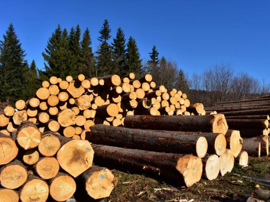 LESY SR po vyše desiatich rokoch upravujú sortimentáciu ihličnatej guľatiny: Zásadnou zmenou je zatriedenie piliarskych výrezov III.A a III.B triedy akosti do jednej kvalitatívnej triedy III.AB
