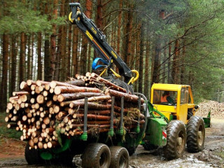 Prognóza postupného znižovania objemu ťažby dreva: Do roku 2050 o takmer 11 percent