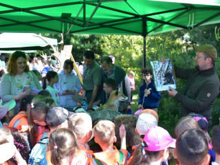 Vyše 370 tisíc detí v Česku sa minulý rok zúčastnilo akcií s lesníkmi v rámci lesnej pedagogiky: Aktivity založené na priamej skúsenosti s lesom a lesníckej odbornosti