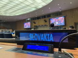 Fórum o lesoch OSN: Nová rezolúcia v boji proti globálnemu odlesňovaniu. Slovensko aktívne zapája aj mladú generáciu