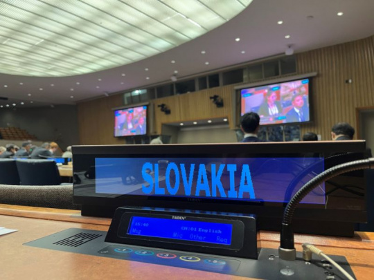 Fórum o lesoch OSN: Nová rezolúcia v boji proti globálnemu odlesňovaniu. Slovensko aktívne zapája aj mladú generáciu