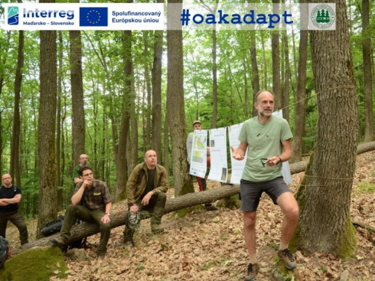 Národné lesnícke centrum, Lesnícka fakulta Technickej univerzity vo Zvolene a Mestské lesy Krupina: Projekt udržateľného hospodárenia v dubových lesoch