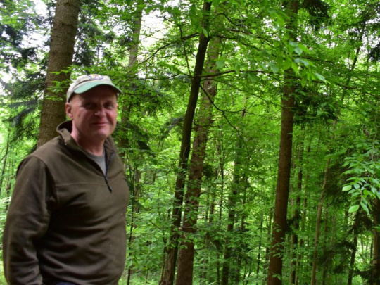 TÝŽDŇOVKA: Prvý, ktorý začal na sociálnych sieťach brániť lesníctvo hovorí, že lesníci pracujú „pod prokurátorom.“ Akú zodpovednosť nesú tí, ktorí na nich útočia...?