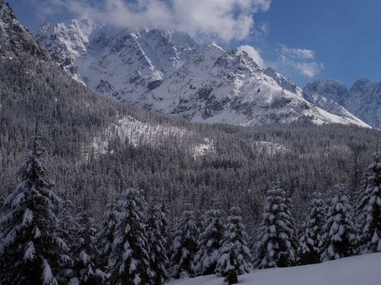 TÝŽDŇOVKA: Lesnícky rok 2026 môže byť prelomový, do legislatívneho procesu sa má dostať návrh zákona o Slovenskej lesníckej komore