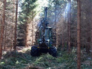 Komentár: Čo znižuje dýchanie pôdy v lesoch a aké výsledky priniesla štúdia z rokov 2021 - 2023