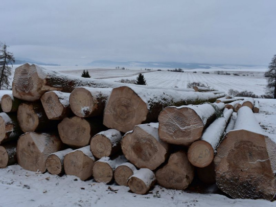 Česko doviezlo v decembri vo zvýšenej miere drevo a výrobky z dreva: Obchodný prebytok dosiahol takmer dvojnásobok hodnoty z predchádzajúceho roka