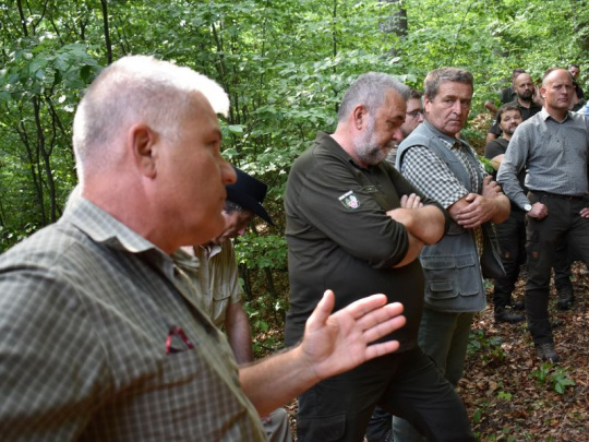 TÝŽDŇOVKA: Odborník na hospodársku úpravu lesov hovorí, že vekovo, výškovo a priestorovo diferencovanú štruktúru porastu je možné dosiahnuť len jeho obnovou