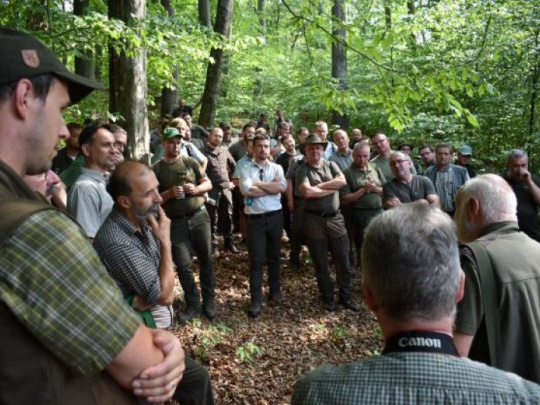 Názor: Slovenskom sa vinie čiara, pod ktorou sú výrazne viditeľné problémy našich lesov. Spoločnosť a médiá im neprikladajú dôležitosť