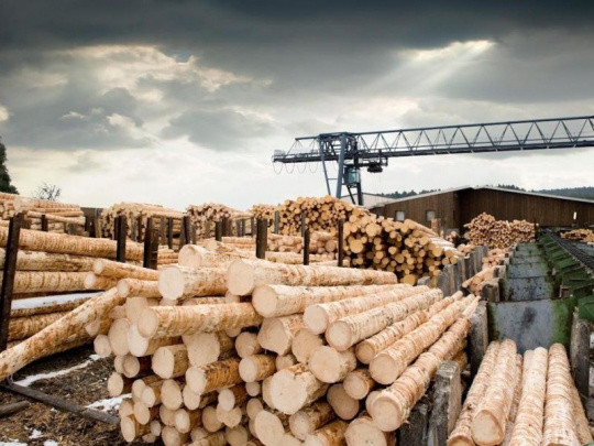 Pokles produkcie reziva v Rusku: Oslabený domáci dopyt, strata európskych dodávateľov strojov a klesajúci export do Číny